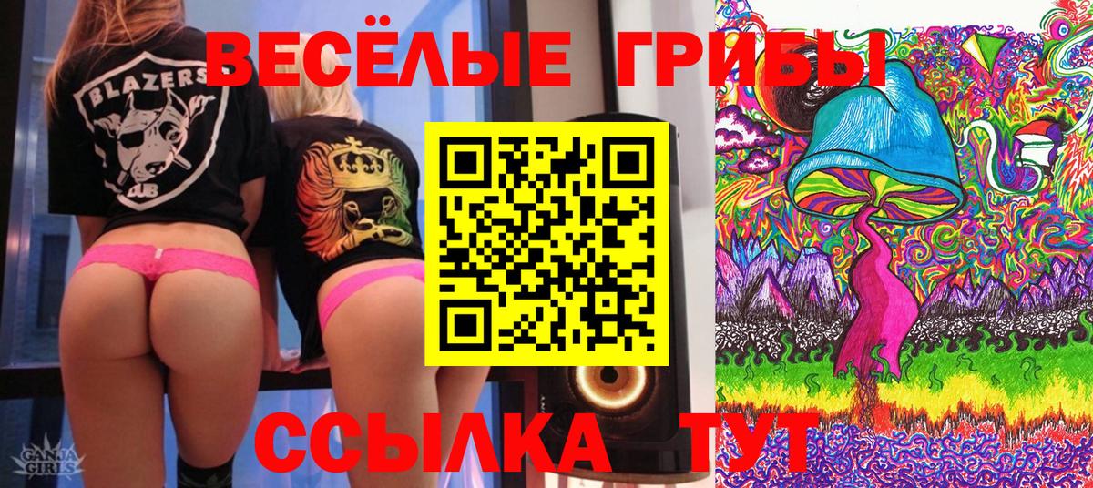 Галлюциногенные грибы Cubensis Углич